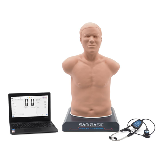 SAM Basic med laptop, ljus hy